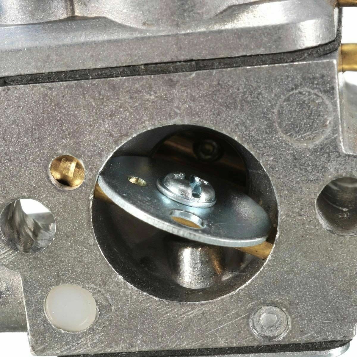 S5626082_13