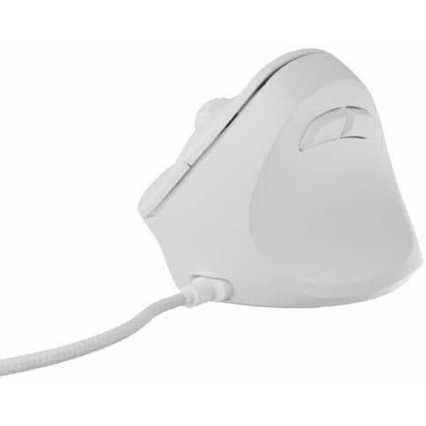 S5632832_9