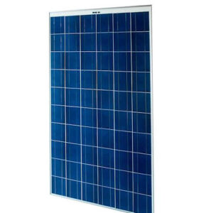 Set de Bolas de Navidad Krist+ Verde Plástico Ø 12 cm 6 Piezas (6 Unidades)