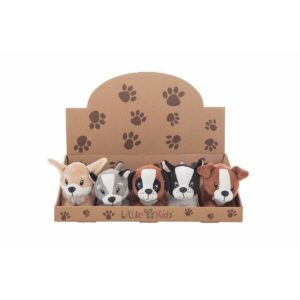 S2453857_0 S2453857_0