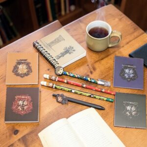 Pack Escolar Harry Potter con Libretas, Lápices y Bolígrafos ⚡📚